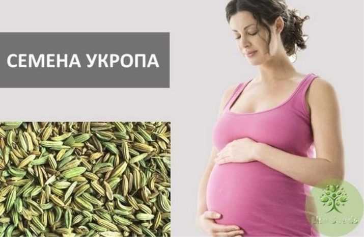 Тыквенные семечки при беременности: польза и вред употребления на разных сроках