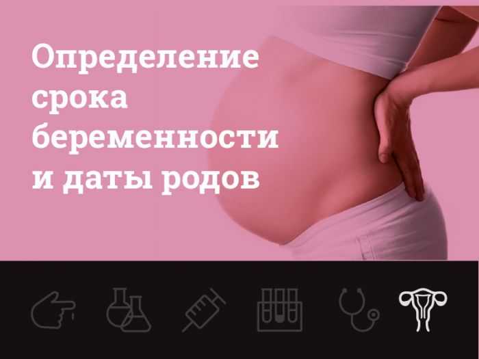 На каком сроке узи показывает беременность, можно ли с его помощью определить, беременна ли женщина в первые недели, достоверность метода
