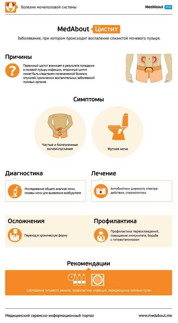 Цистит у женщин симптомы и причины. Признаки цистита. профилактика цистита. цистит причины симптомы профилактика.
