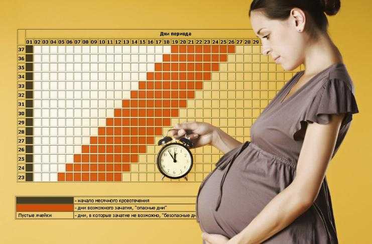 Скрининг при беременности: первый, второй и третий. нормы узи по неделям