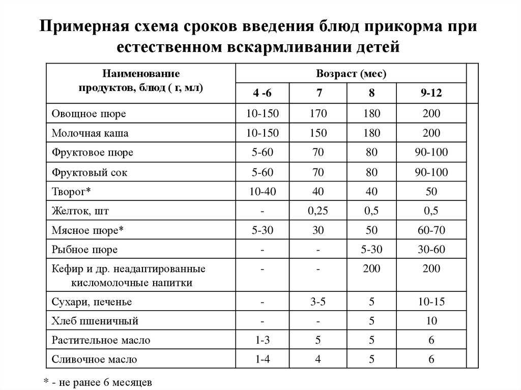 Прикорм докорм презентация