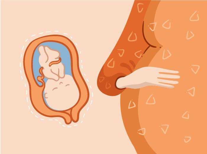 29 неделя беременности: признаки и ощущения женщины, симптомы, развитие плода