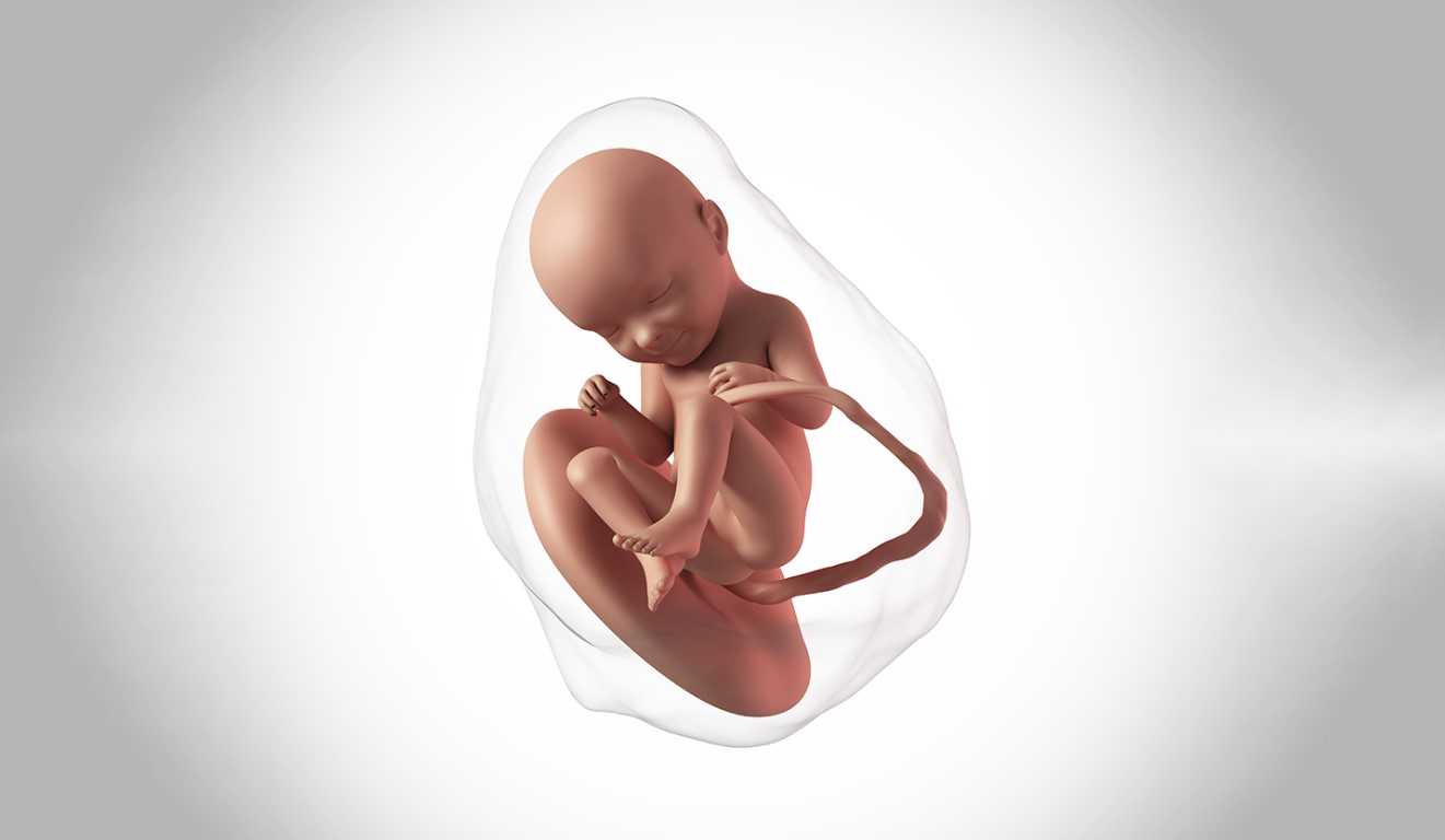 Развитие плода на 37 неделе беременности Самочувствие мамы Боли на 37 неделе Узкие вопросы беременности Предвестники родов в 37 недель Питание и образ жизни подготовка к родам Рекомендации