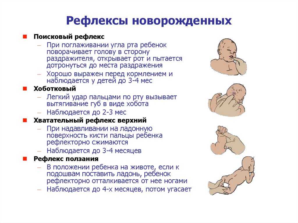 Хватательный рефлекс у новорожденных (робинсона): что делать, если рефлекс слабый или отсутствует