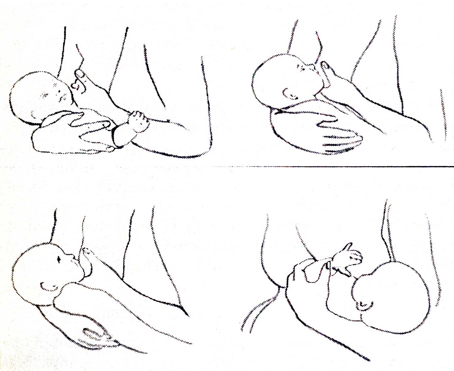 Ребенок неправильно берет грудь: способы прикладывания к груди, захват соска и расположение губ ребенка на соске