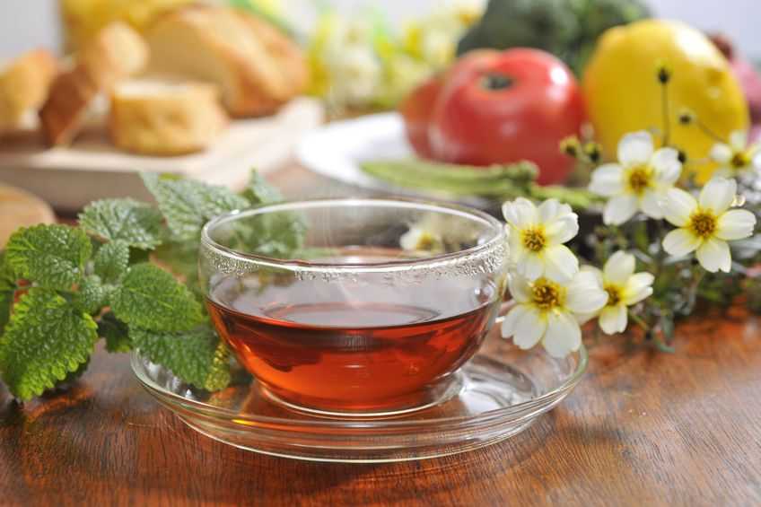 Чай из листьев клубники польза и вред