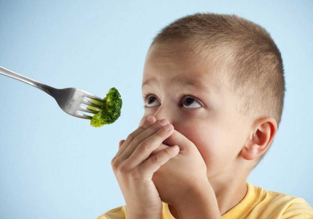 Как накормить «малоежку»? правильное питание детей