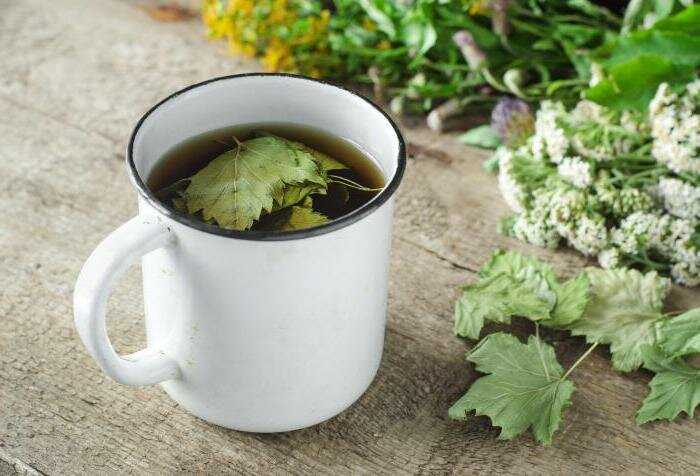 Кстати очень интересно мнение травяной чай при беременности стоит пить или нет встречала советы о вреде смородины листьев земляники - это неправда