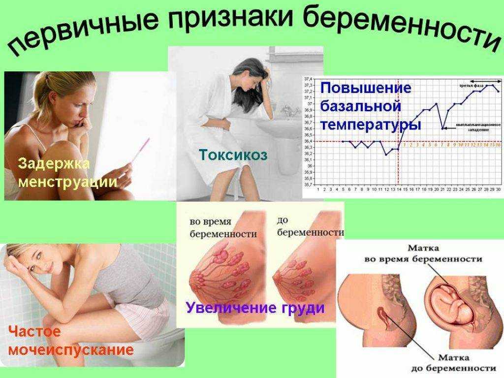 Температура тела - важный показатель состояния беременной женщины