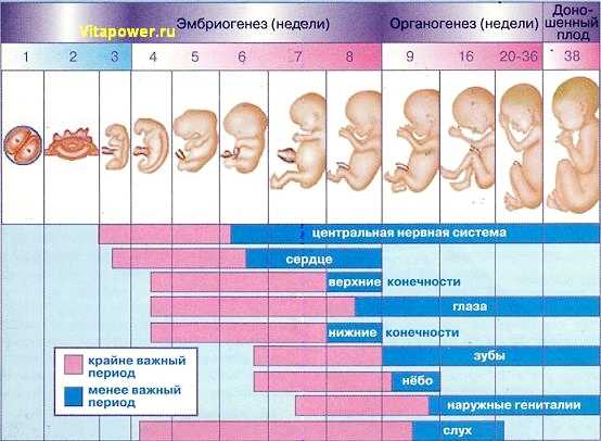 Понос на ранних сроках беременности: причины и лечение / mama66.ru