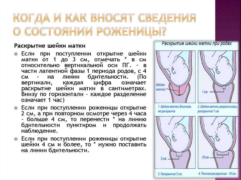 Упражнения для беременных: подготовка к родам / mama66.ru