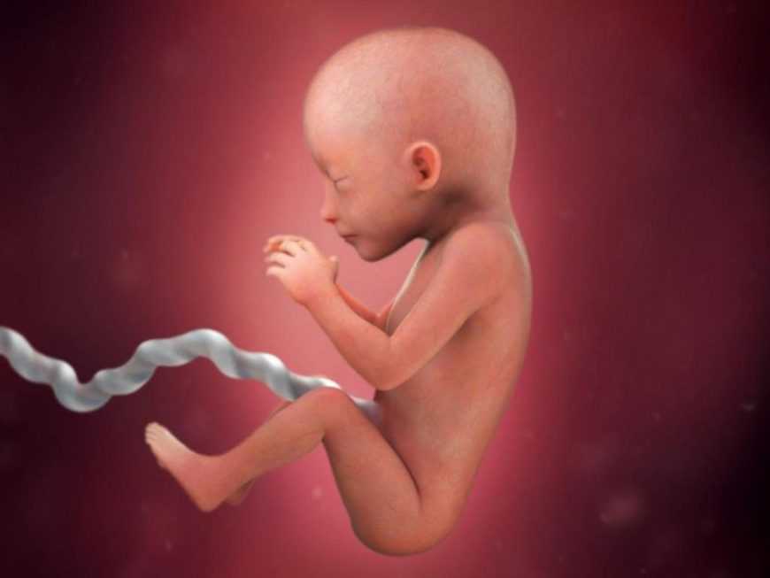 17 неделя беременности: что происходит? ощущения женщины на 17-й неделе :: syl.ru