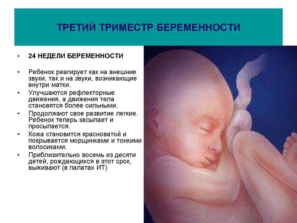 Третий триместр беременности: размер и вес плода, состояние беременной, необходимые анализы