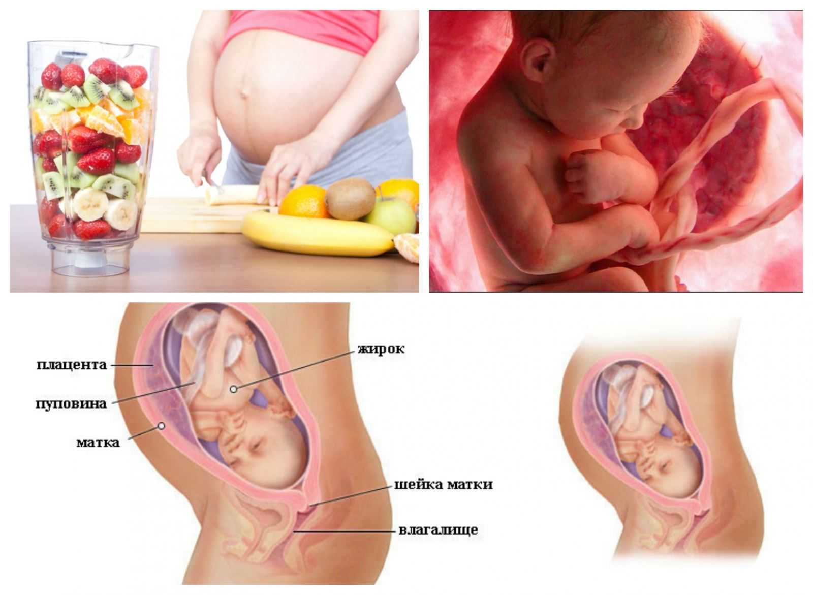 31 неделя беременности: ощущения, развитие плода, фото узи, рекомендации