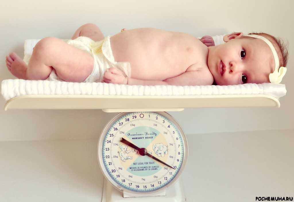 Как правильно выбрать детские весы для новорожденных?