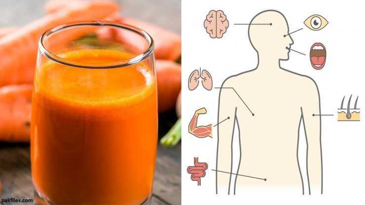 Польза и вред морковного сока | сайт для здорового образа жизни