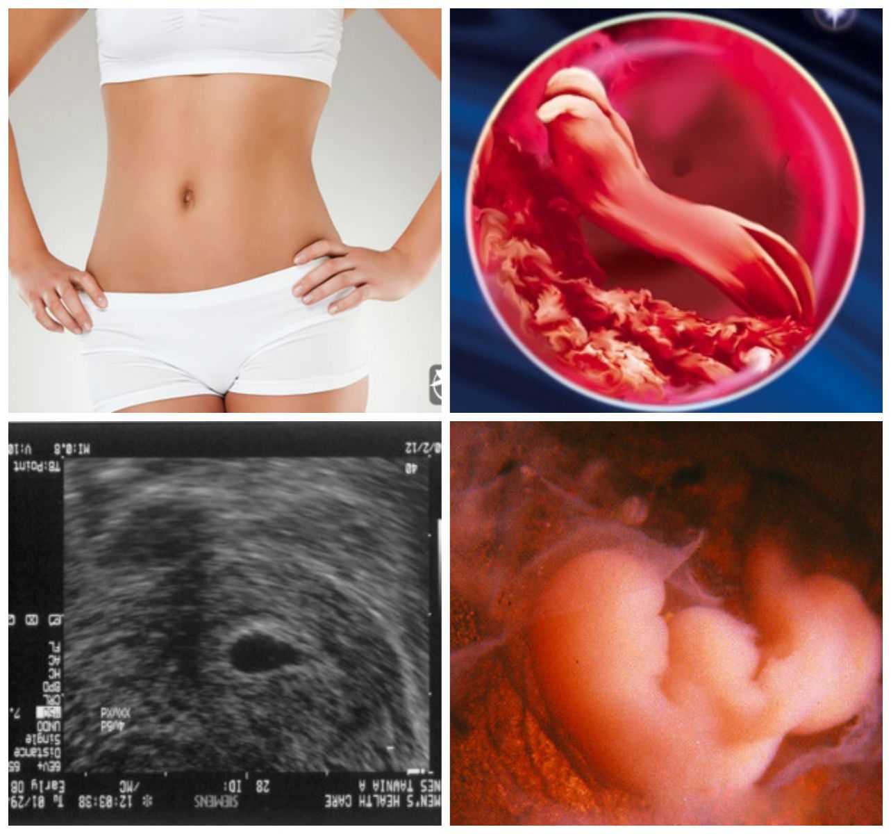 3 недели беременности от зачатия: что происходит, ощущения