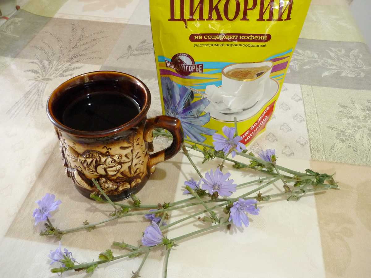 С какого возраста детям можно давать цикорий - мой ребеночек