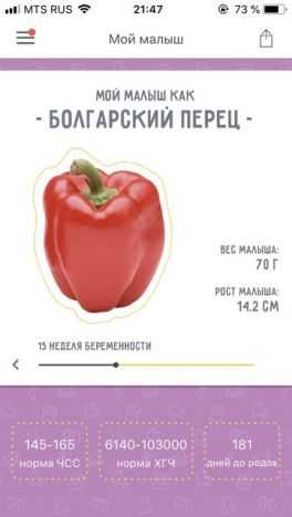 Болгарский перец при беременности | уроки для мам
