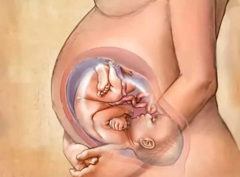 Как развивается и чувствует себя плод на 35 неделе беременности Ваше самочувствие осложнения и пути их устранений Обследования на 35 неделе Ощущение питание и образ жизни
