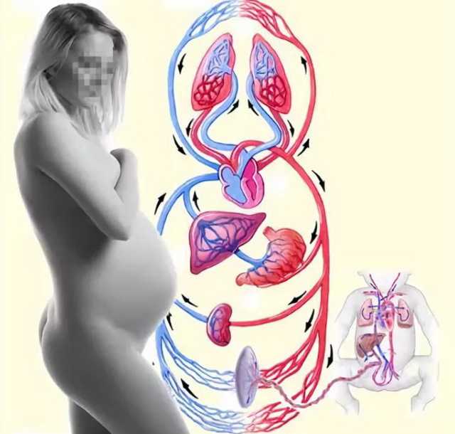 Беременность и роды: частые вопросы