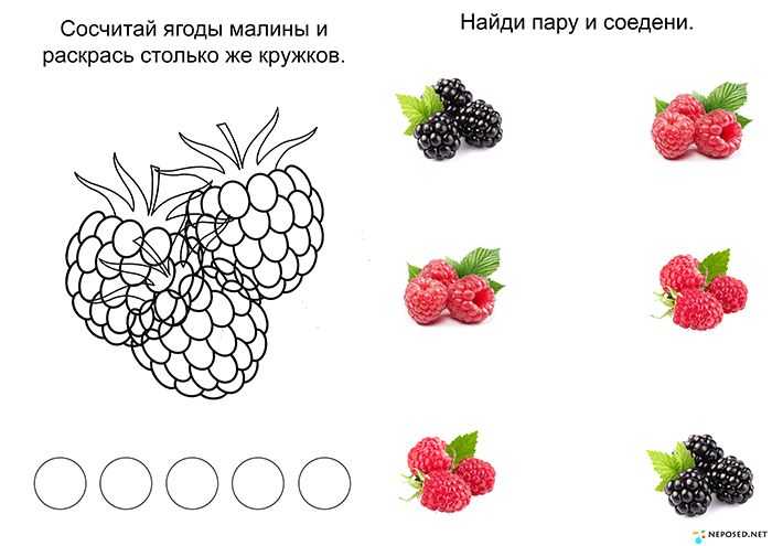 Чем полезна ежевика: 7 целебных свойств ягоды