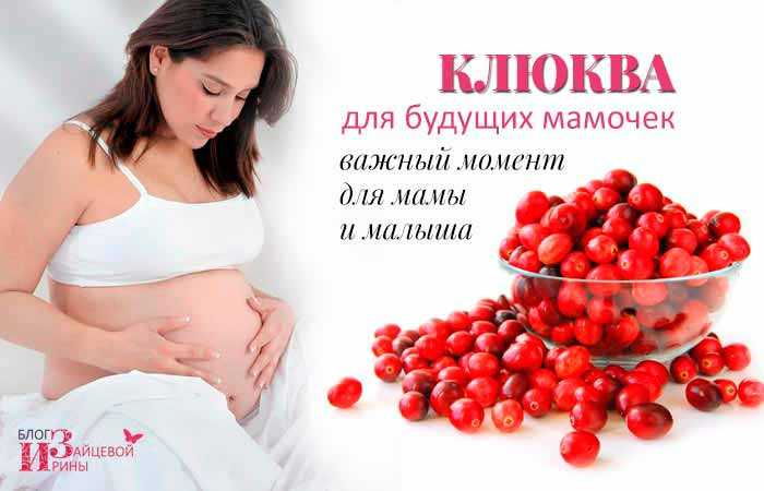 Клюква при беременности: применение от отеков. можно ли беременным есть клюкву на ранних и поздних сроках? польза и вред морса. рецепты