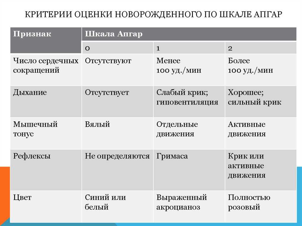 Оценка новорожденного по шкале апгар презентация