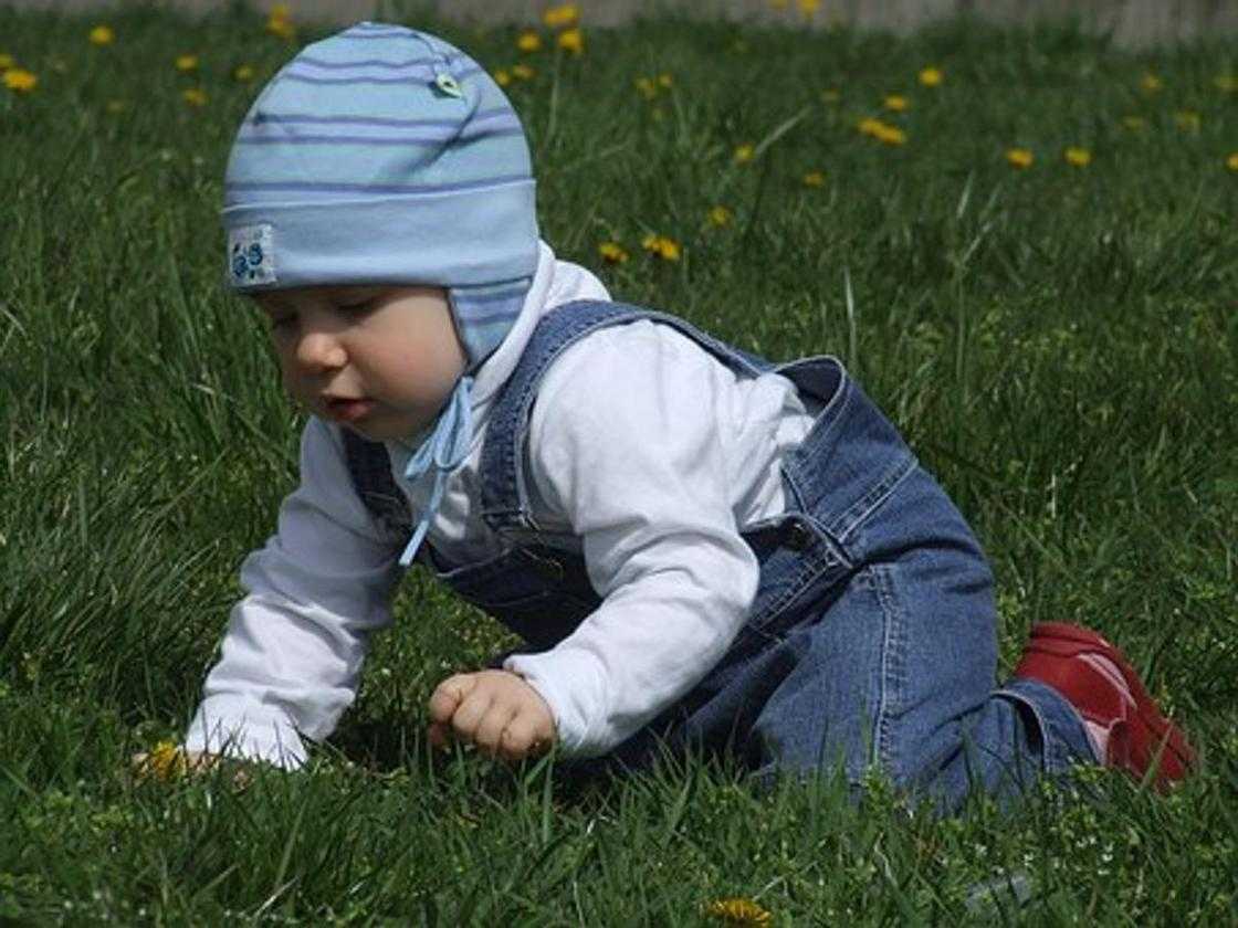 Как научить ребенка ползать: лучшие упражнения и советы как помочь ребенку сделать первые шаги (105 фото)