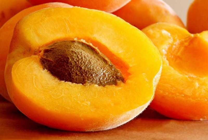 Можно ли есть абрикосы, нектарины и персики при беременности?