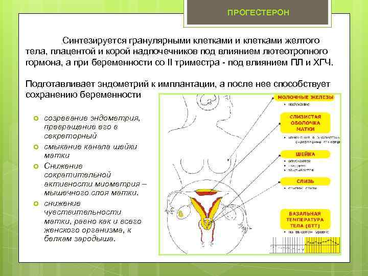 Клинический протокол индукция родов (подготовка шейки матки к родам и родовозбуждение).