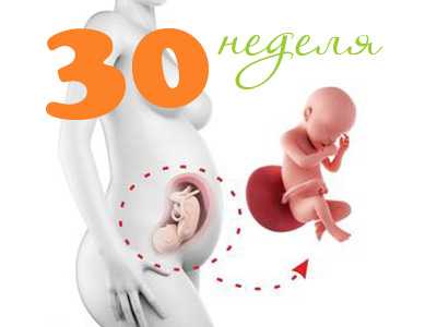 30 неделя беременности | уроки для мам