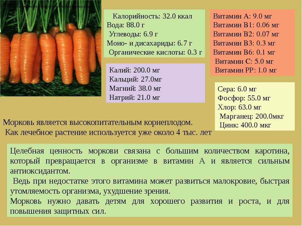 Морковь при беременности: можно ли есть сырую, по-корейски или пить сок?