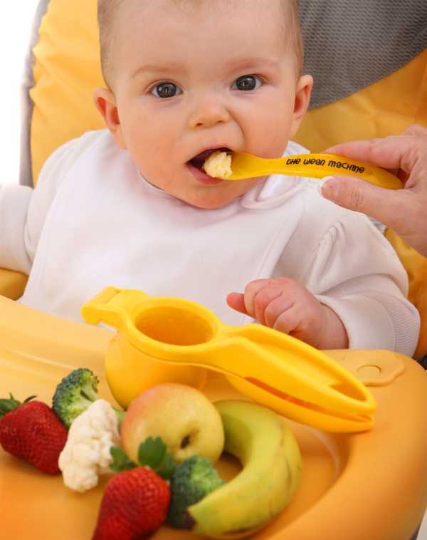 Как научить жевать кусочки. Прикорм. Прикорм ребенка. Еда для первого прикорма. Прикорм грудного ребенка.