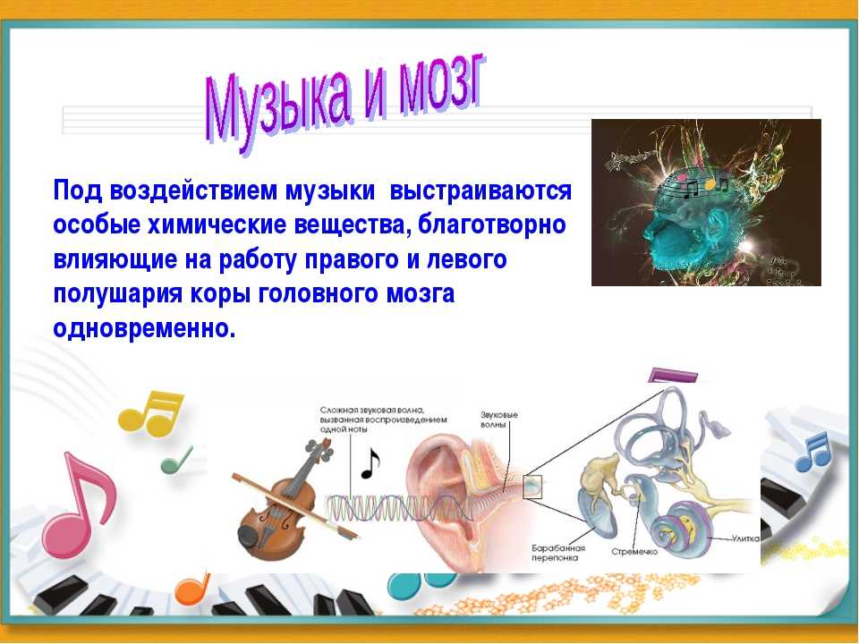Эффект моцарта: как музыка влияет на мозг и помогает ли она развивать интеллект