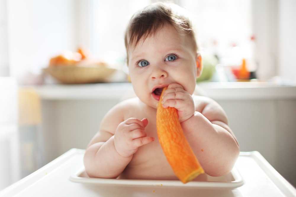 Как научить ребёнка жевать твердую пищу