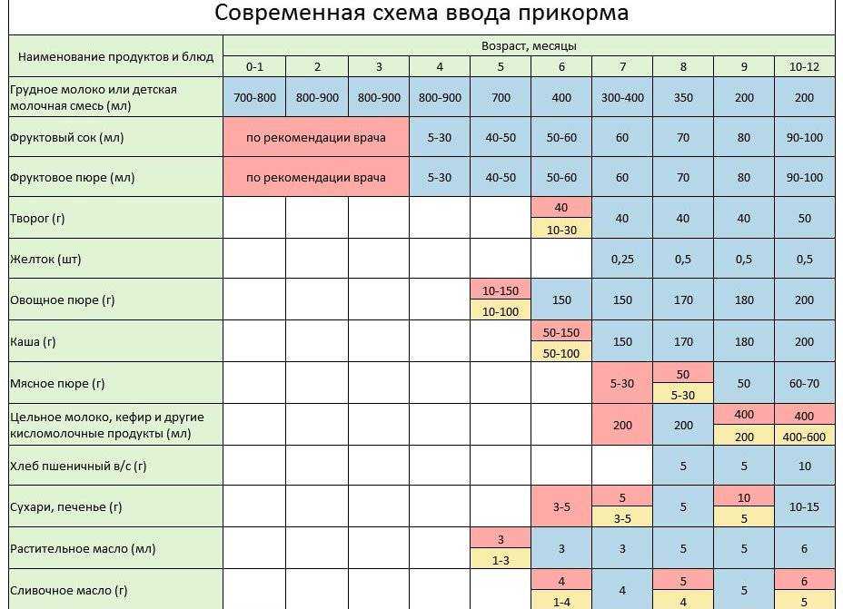 Схема первого прикорма