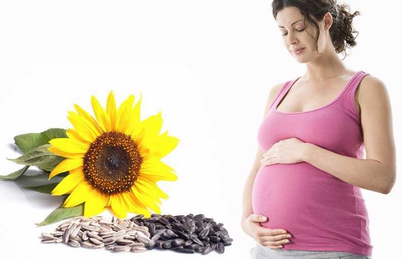 Полезные свойства семечек для беременных