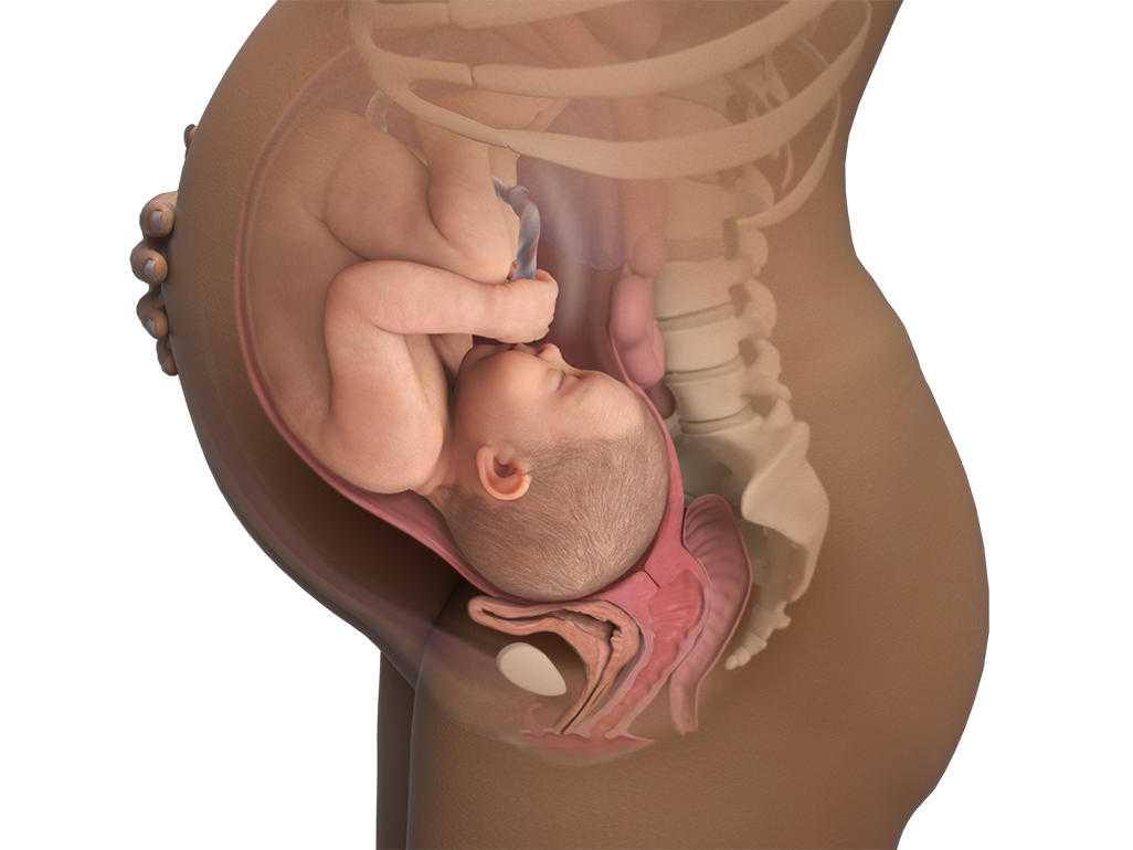 39 неделя беременности – что происходит? предвестники родов у повторнородящих, первородящих. как ускорить роды на 39 неделе?