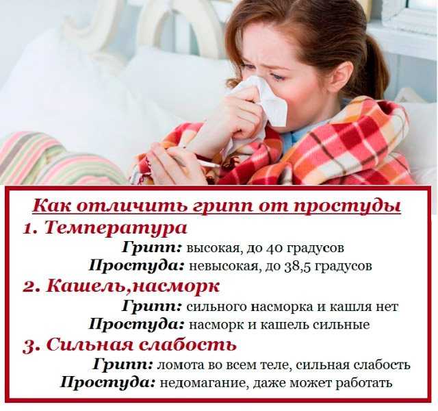Простуда при беременности: чем опасна, повышение иммунитета, лечение народными средствами / mama66.ru