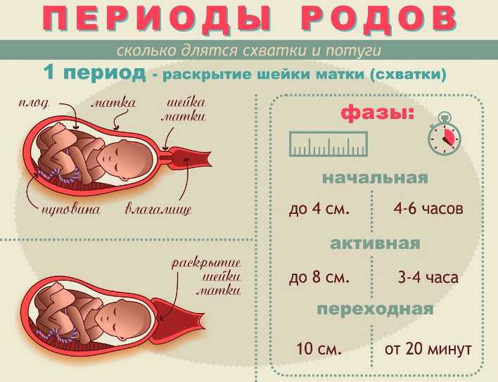 Готовимся к родам, как и когда нужно готовиться к родам / mama66.ru