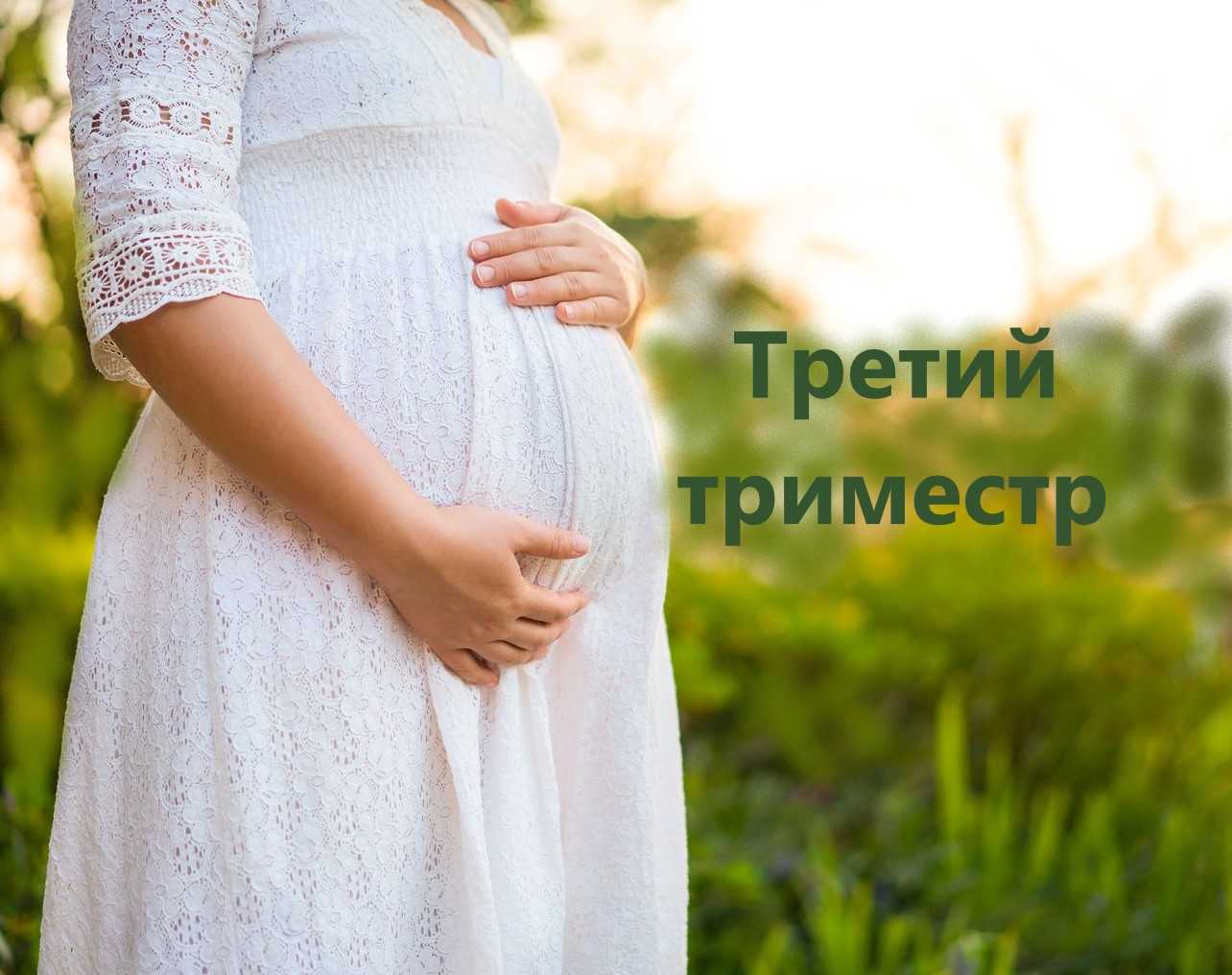 26 неделя беременности: развитие плода, сколько это месяцев, что происходит