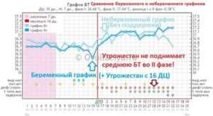 Базальная температура при беременности на ранних сроках до задержки: график, фото