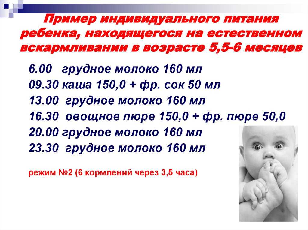 Грудничок 5 месяцев на гв. Пособие на кормление ребенка. Режим ребёнка в 6 месяцев на грудном вскармливании. Пособие на питание ребенка на искусственном вскармливании. Режим кормления грудного ребенка на естественном вскармливании.