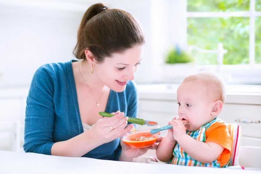 Плохой аппетит у ребенка в 2 года | уроки для мам