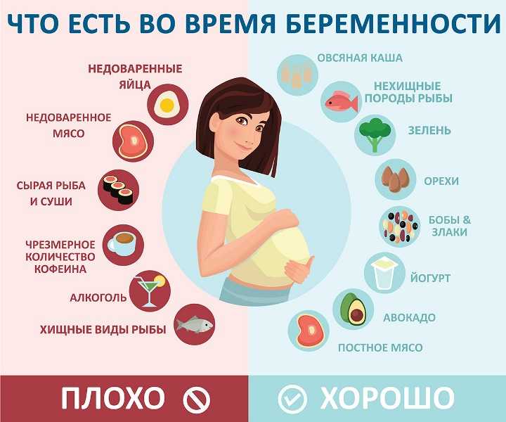 Советы и рекомендации беременным женщинам на ранних и поздних сроках беременности по питанию, режиму дня, гигиене, витаминам, при гипертонии и анемии
