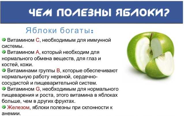 Яблоки: польза и вред для организма человека, для здоровья