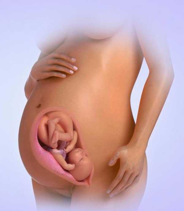 Развитие плода на 34 неделе беременности Самочувствие мамы возможные осложнения беременности боли и выделения Обследования и УЗИ Образ жизни и питание