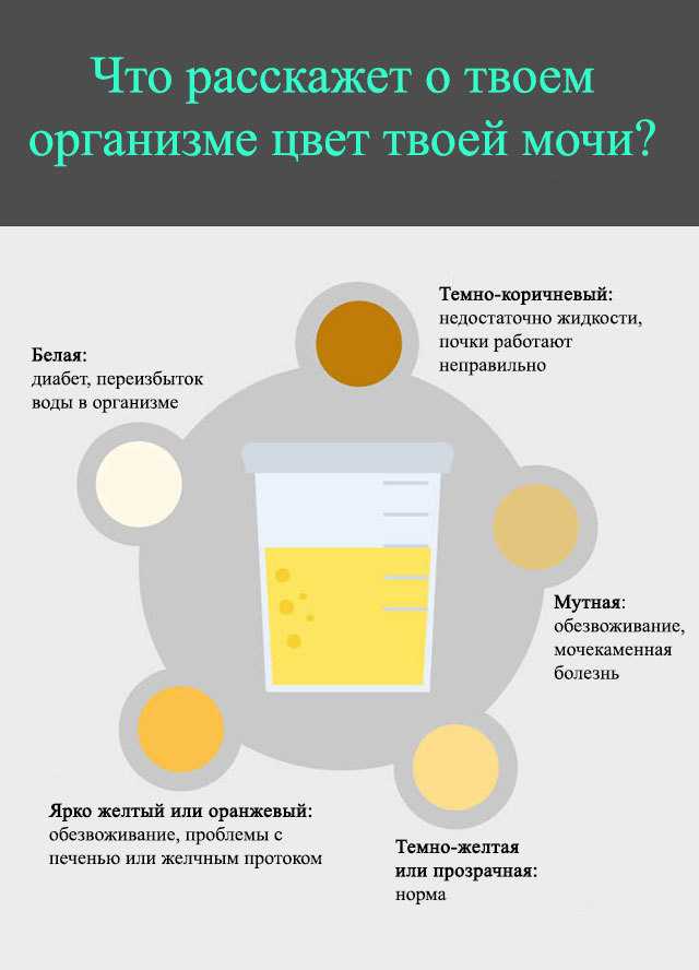 Норма цвета мочи при беременности: значение цвета мочи : saluma.ru