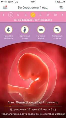 38 неделя беременности: что происходит с плодом, вес ребенка, предвестники родов / mama66.ru